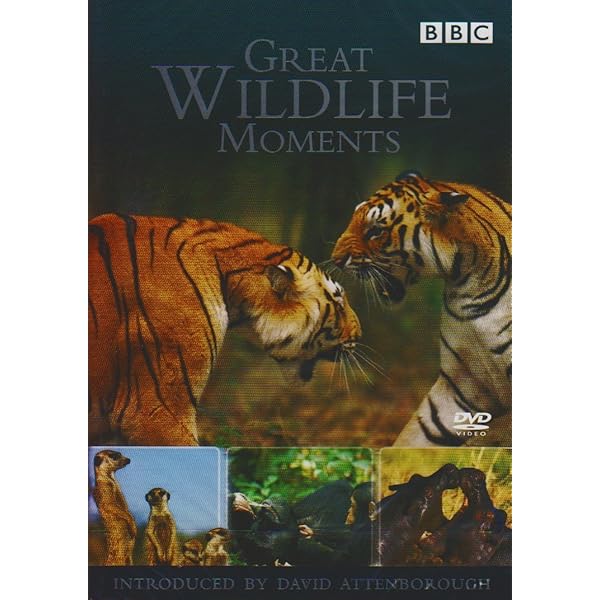 Wildlife Specials DVD Collection Box Set: Amazon.co.uk: David